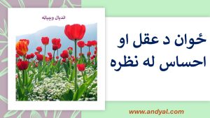 ځوان د عقل او احساس له نظره