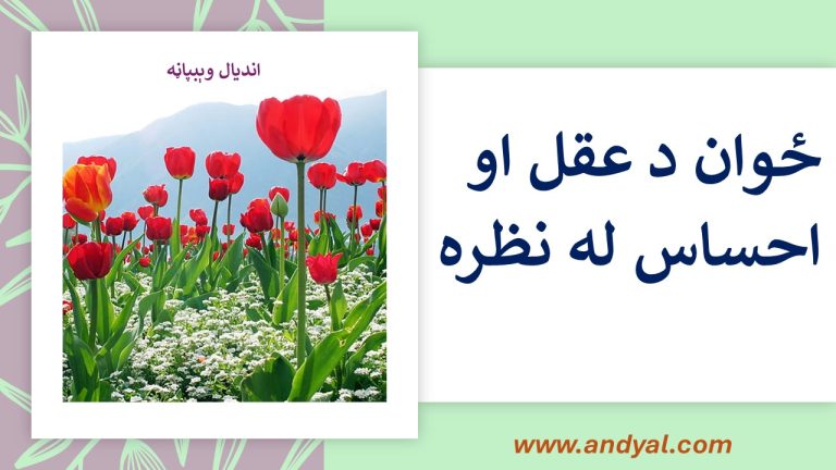ځوان د عقل او احساس له نظره