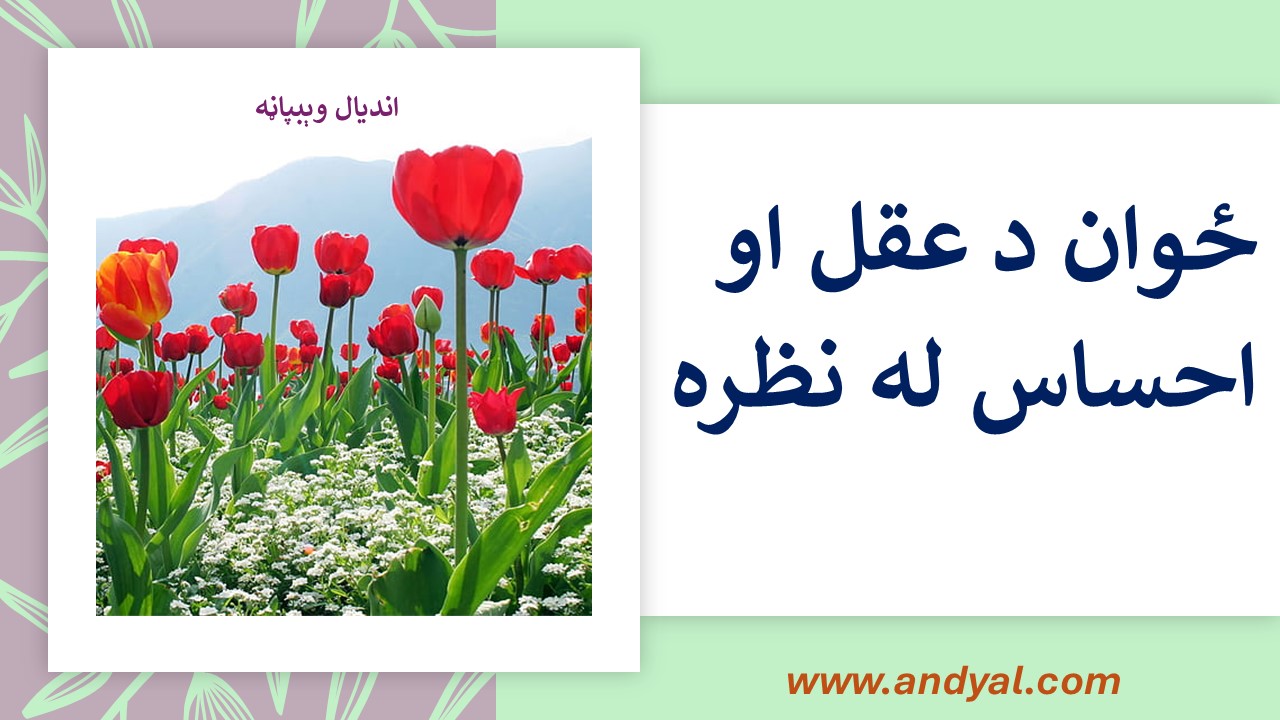 ځوان د عقل او احساس له نظره