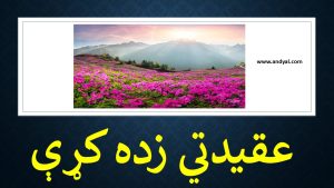 عقیدتي زده کړې