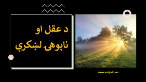 د عقل او ناپوهۍ لښکرې