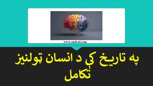 په تاريخ کې د انسان ټولنيز تکامل