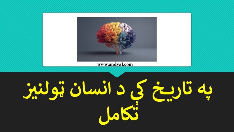 په تاريخ کې د انسان ټولنيز تکامل