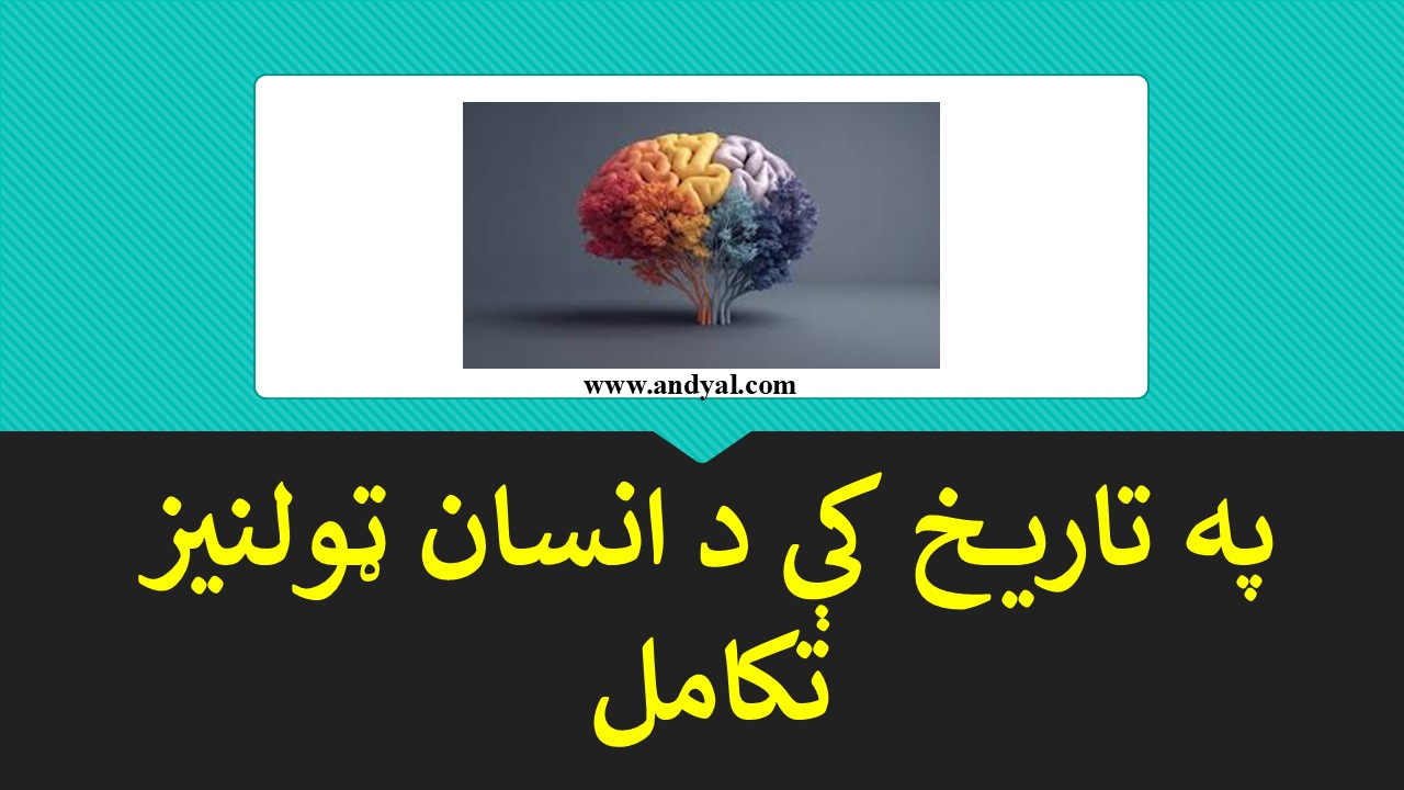 په تاريخ کې د انسان ټولنيز تکامل