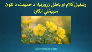رښتینی کلام او باطني زړورتیا؛ د حقیقت د لټون سپېڅلې انګازه
